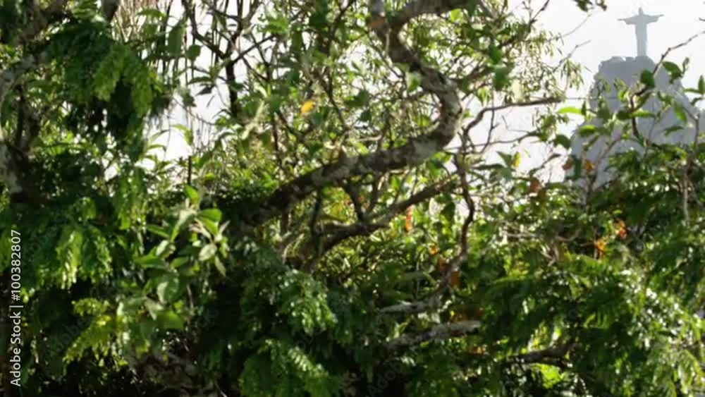 Christ statue atop Corcovado visible through tree foliage