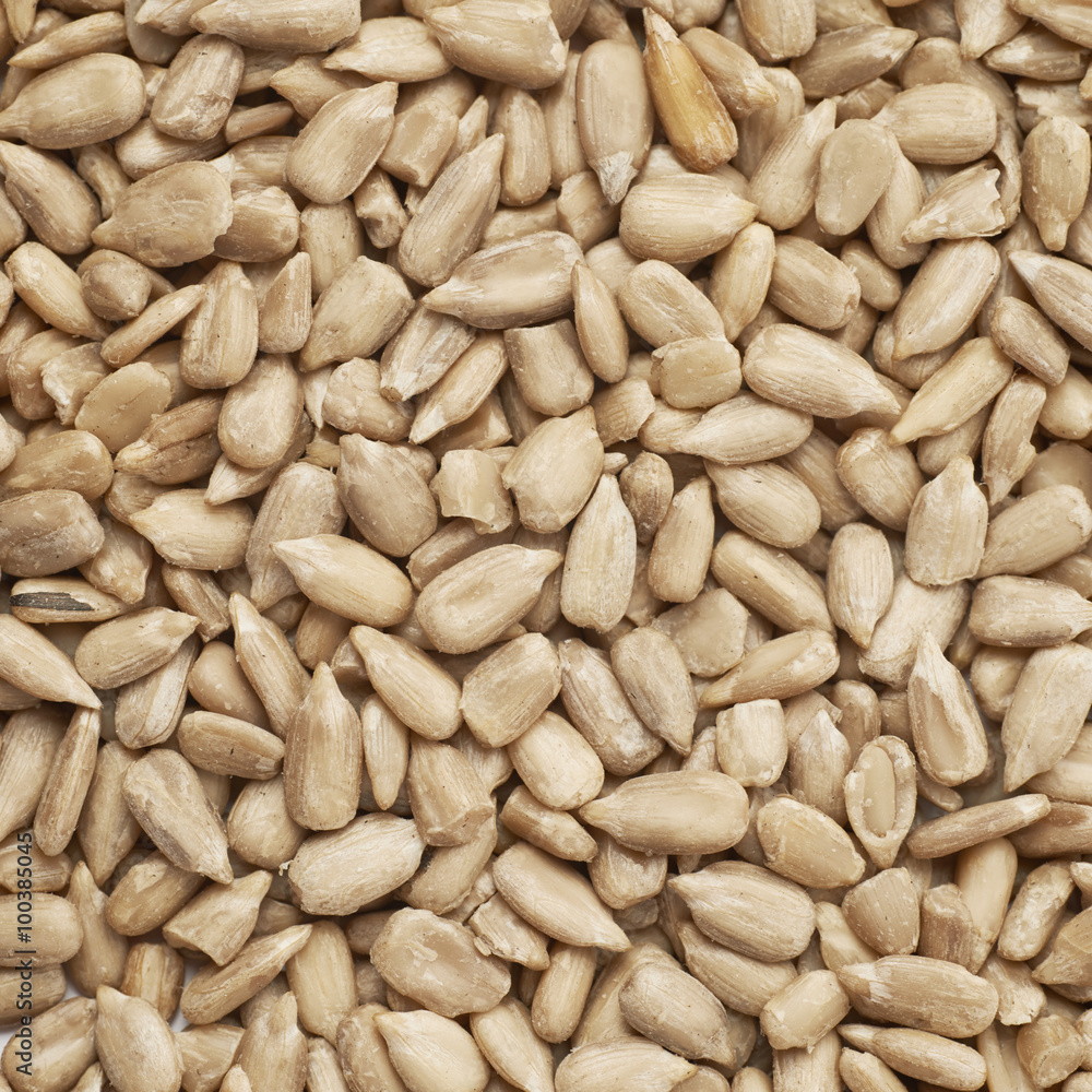Surface covered with sunflower seeds Surface covered with sunflower seeds