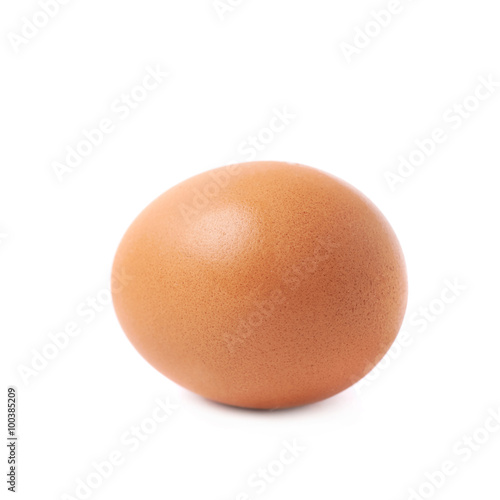 Single brown chicken egg isolated