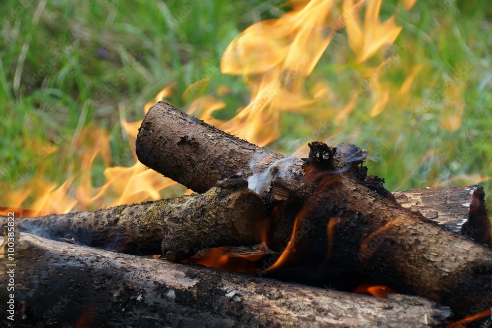 Fototapeta premium Smoking and burning firewood close-up with green grass on the background.