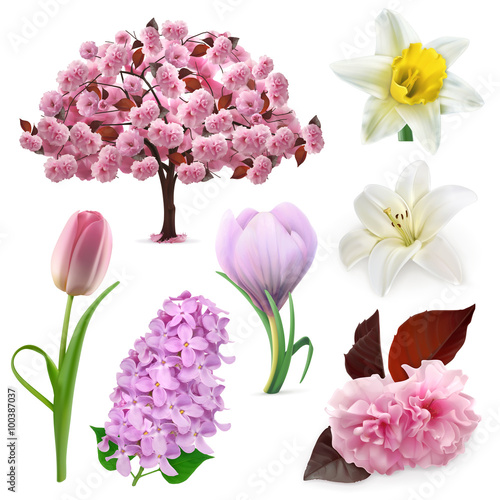 Spring flowers, vector icon set
