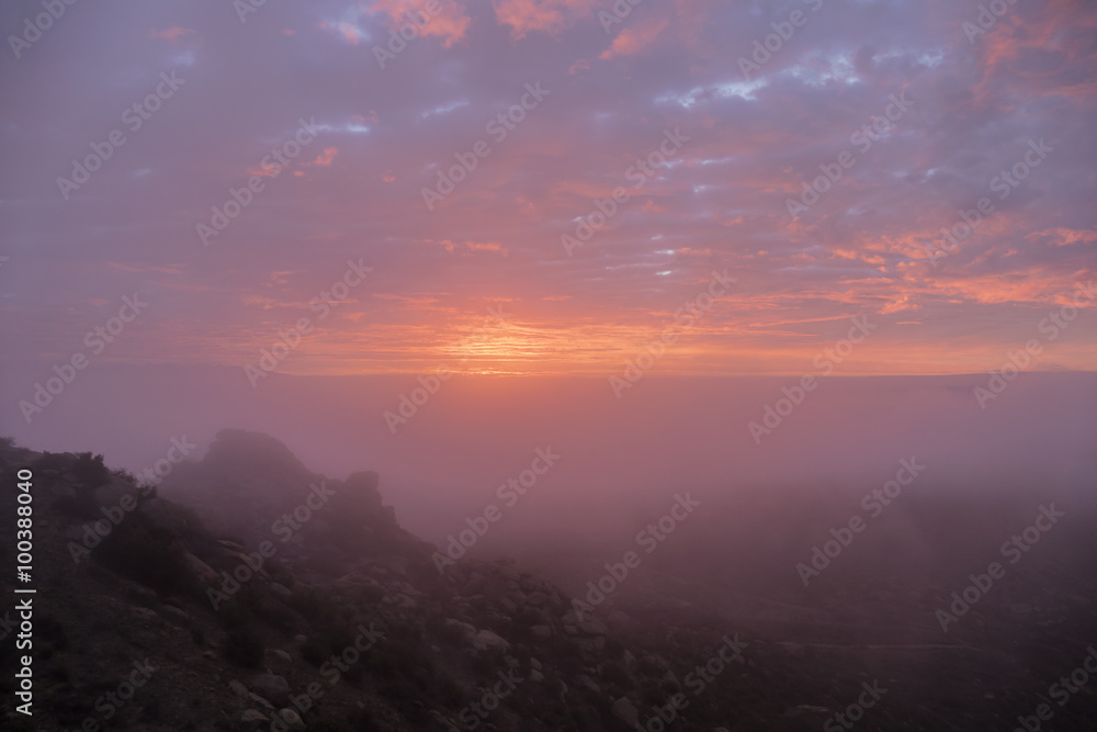 Fototapeta premium Fog Sunrise in Los Angeles California
