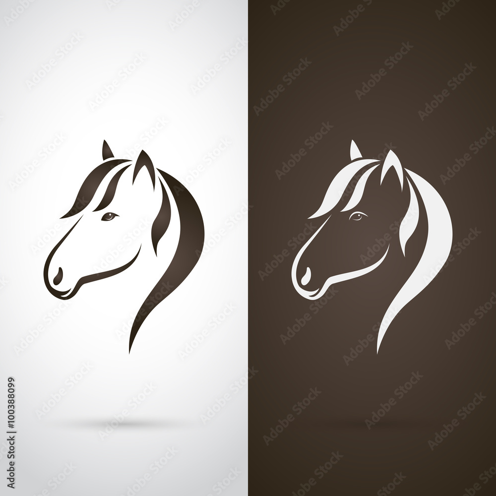 Fototapeta Vector image of an horse design on white background and brown ba