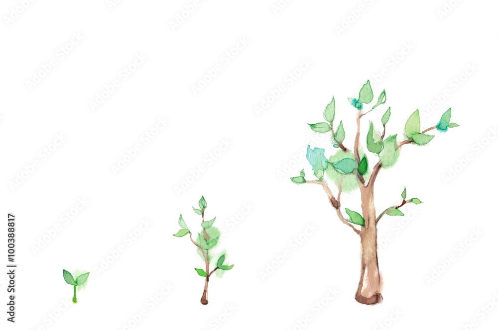 木の成長 Stock イラスト Adobe Stock