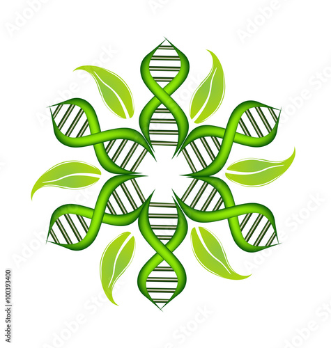 Logo DNA Strands symbol with leafs vector icon 