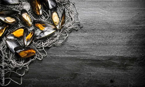 Clams on the fishing net. On black wooden background.