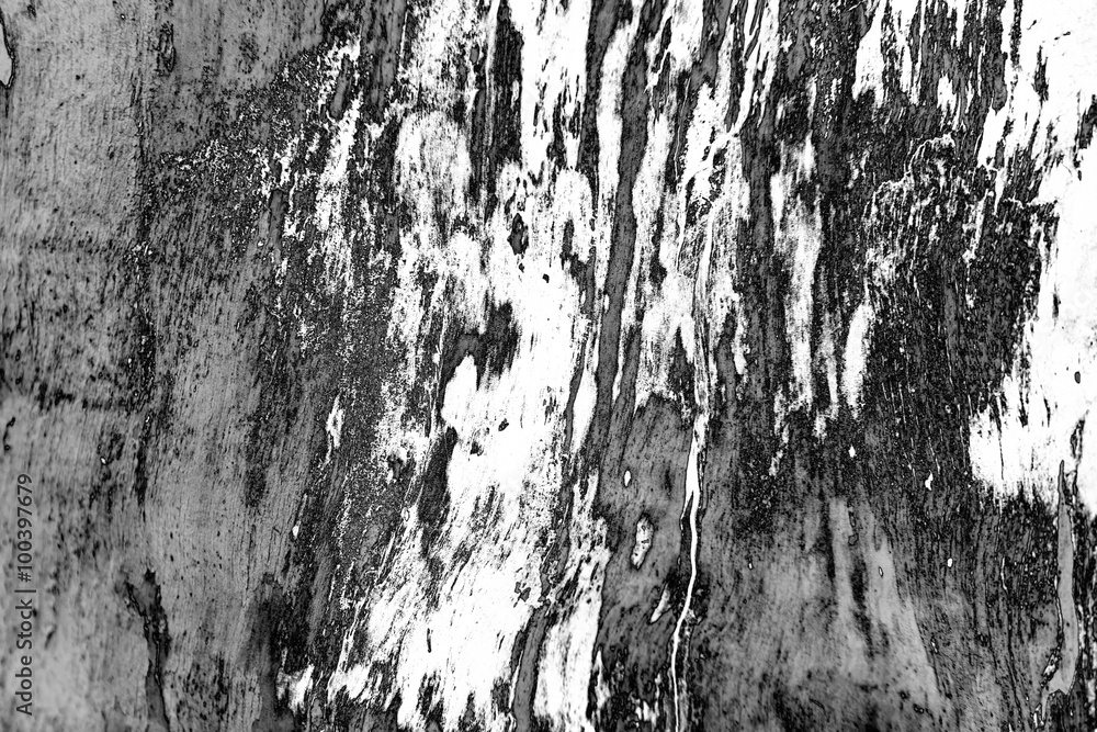Wooden texture with scratches and cracks Wooden texture with scratches and cracks