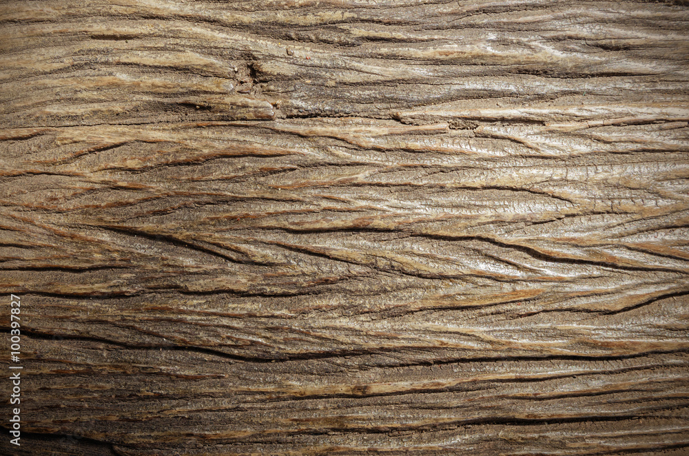 Fototapeta premium Old Wood texture
