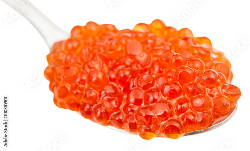 spoon with Red caviar of Sockeye salmon close up