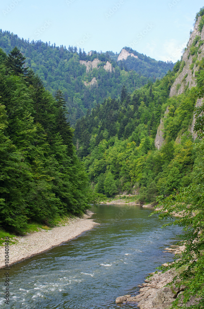 Fototapeta premium Dunajec river in Pieniny mountains, Poland