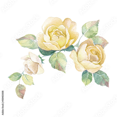Floral branch 2 in vector