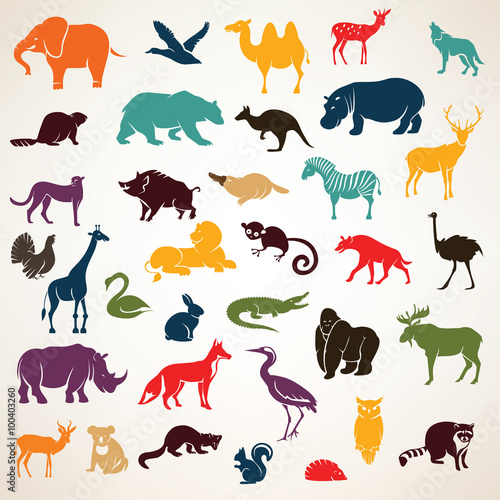 big set of african and european animals silhouettes in cartoon s