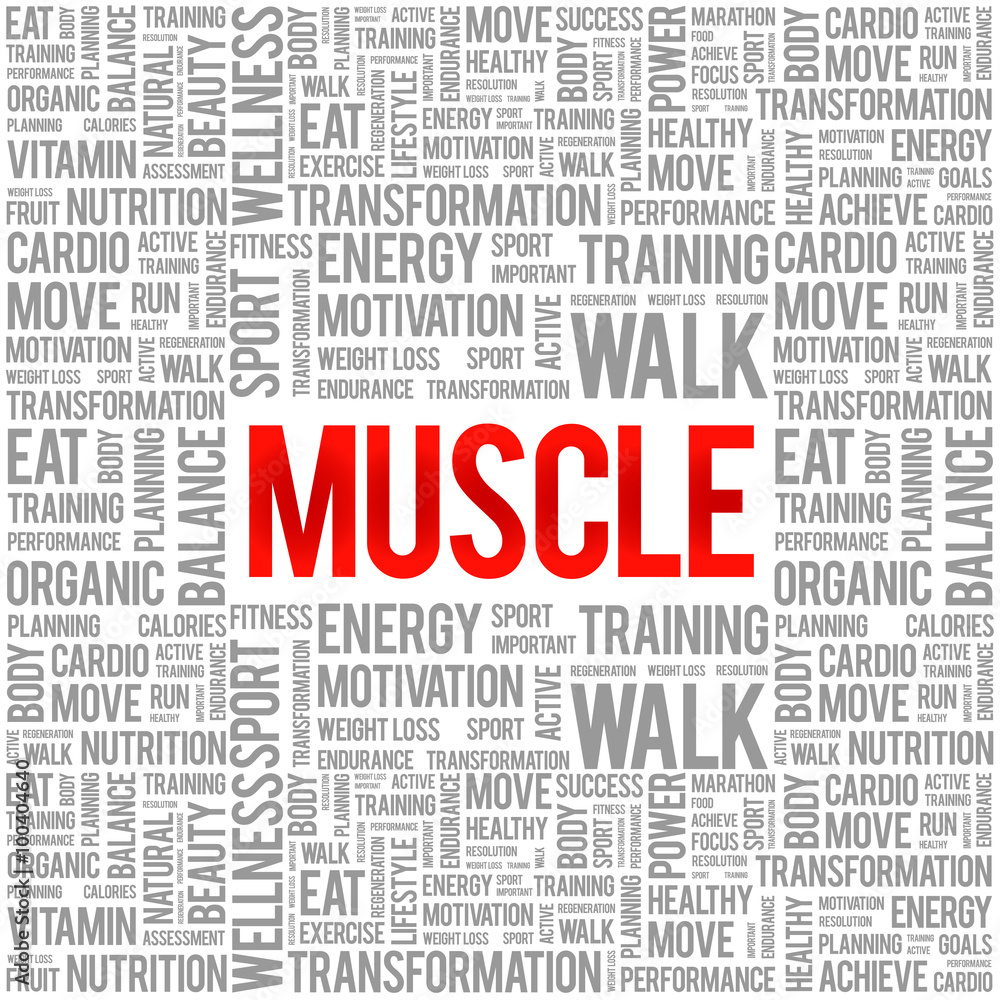Muscle word cloud background, health concept Muscle word cloud background, health concept
