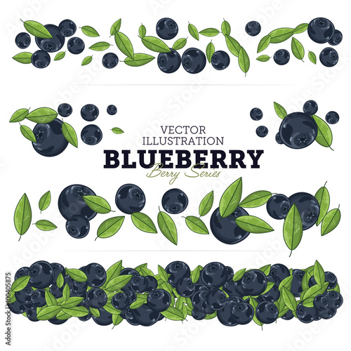 Blueberry Set, Vector.