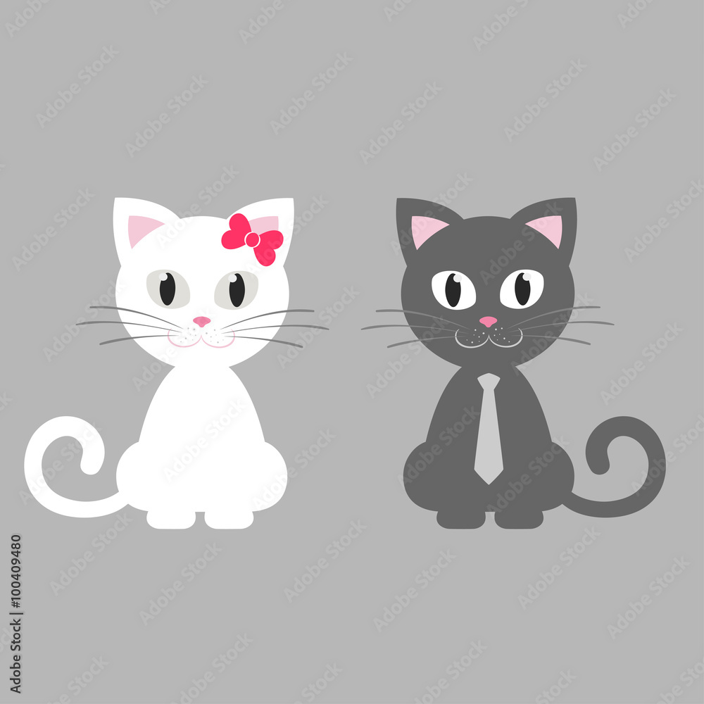 Fototapeta premium cute kitten white and gray sitting