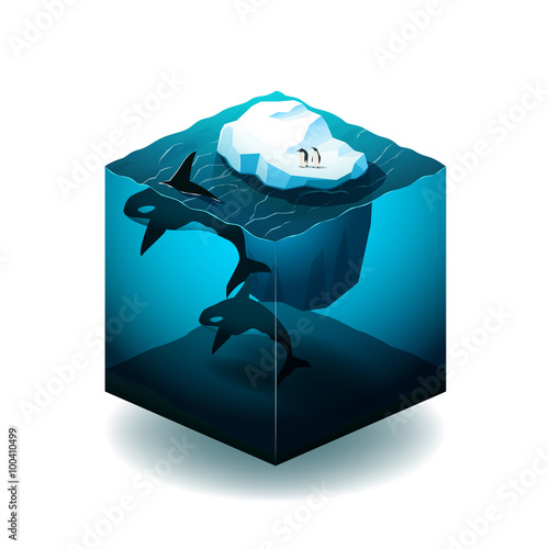 Isometric cube illustration with with iceberg, orcas and penguin