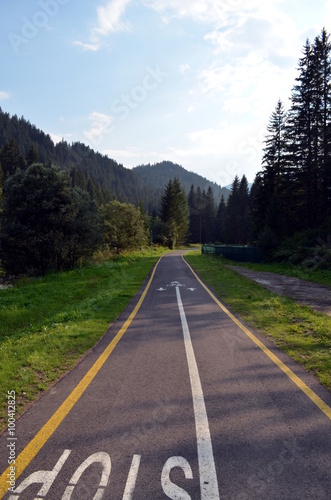 bike path with a green lawn no people