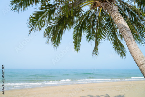 Tropical beach with coconut palm at summer time © bigy9950