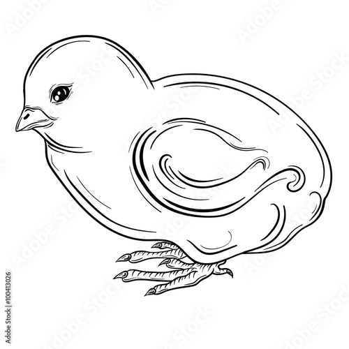 Chick