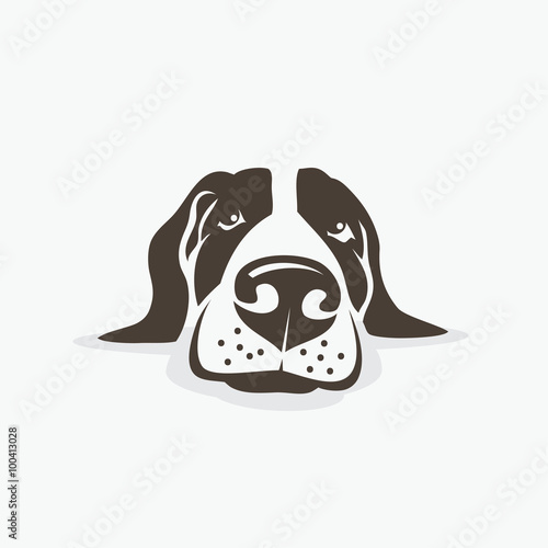 Dog head