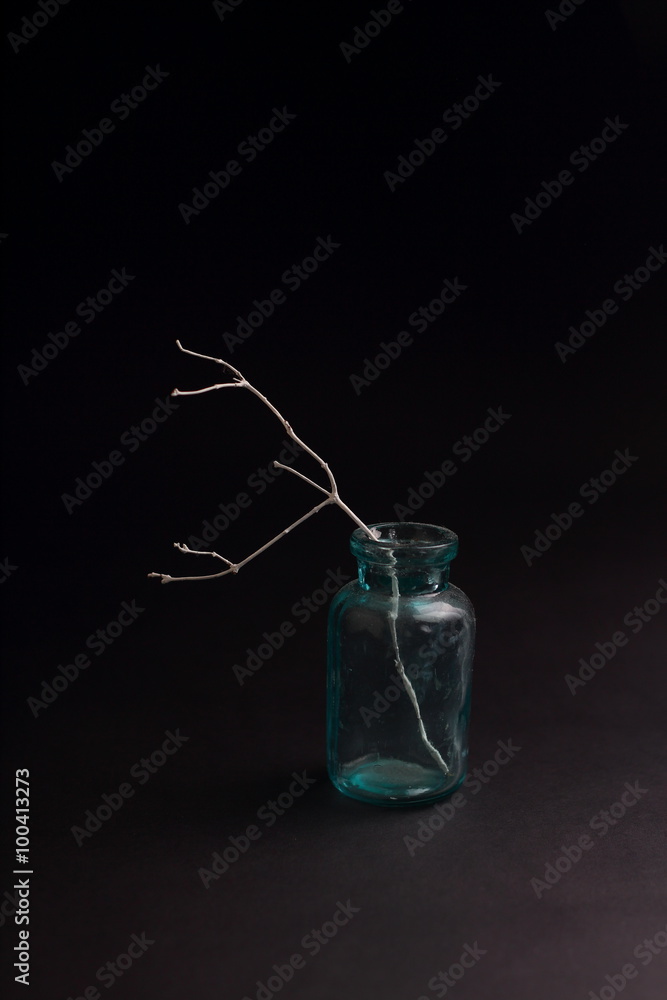 Still dry twig in a glass bottle on a black background Still dry twig in a glass bottle on a black background