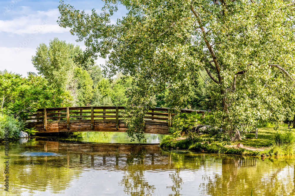 Wood Bridge Over Calm Lake