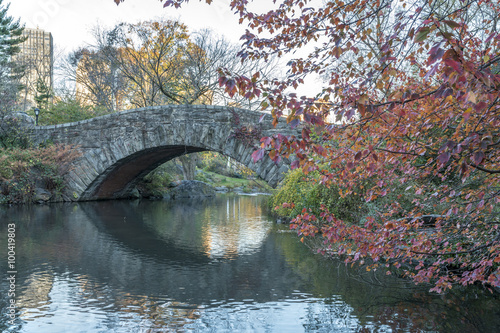 Gapstow bridge Central Park, New York City