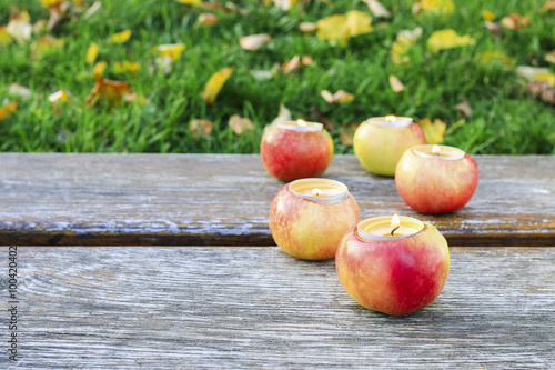 Apples in the garden