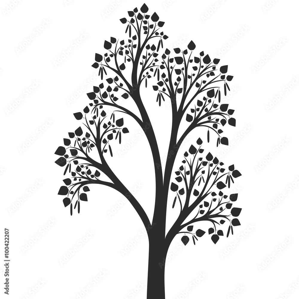 silhouette of birch tree with leaves