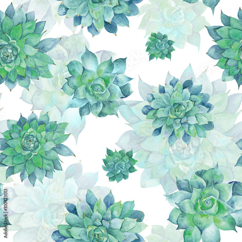 Fototapeta Watercolor Turquoise Succulent Pattern