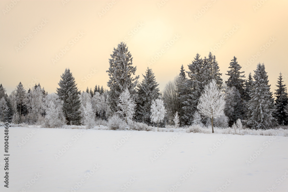 Sonnenaufgang im Winter