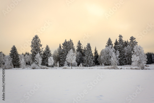 Winterlandschaft  © Chris Adler