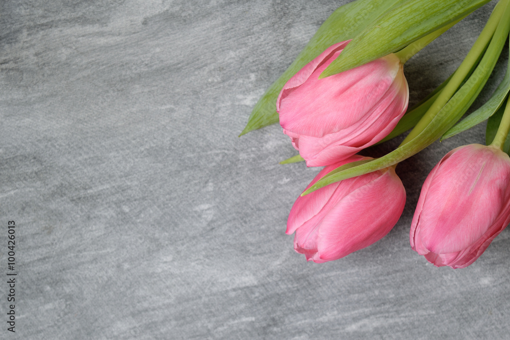 Tulpen Tulpen