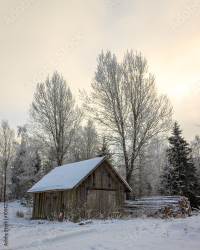 Hütte im Winterwald