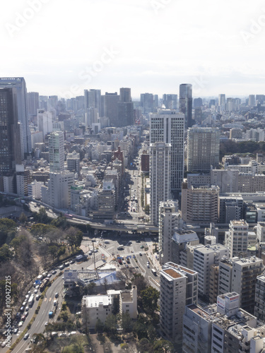 Cityscape, view from Tokyo Tower