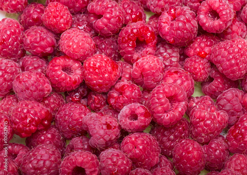 A beautiful selection of freshly picked ripe red raspberries.