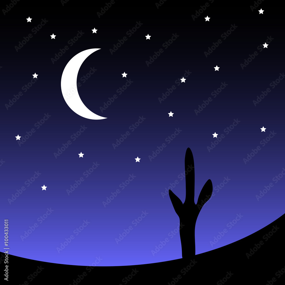 Desert with cactus plants at night. Vector illustration.