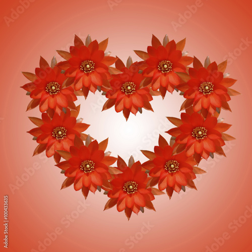  flower backgrounds Valentine's Day