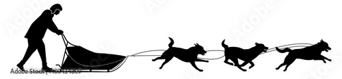 Musher 2 - Chien de traineau