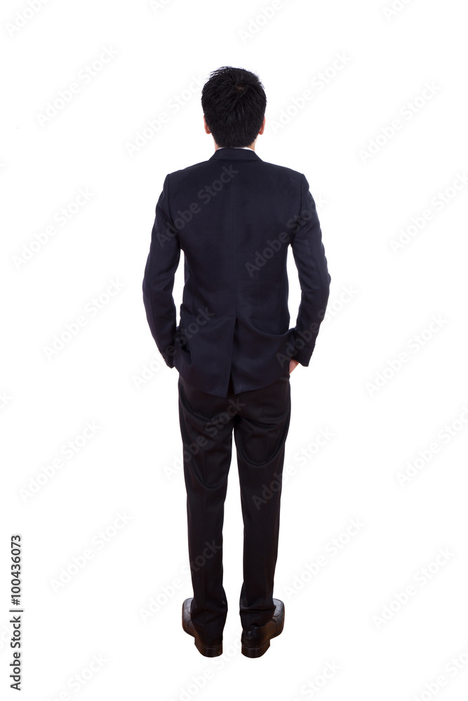 Rear view of business man pointing at something, full length iso Rear view of business man pointing at something, full length iso