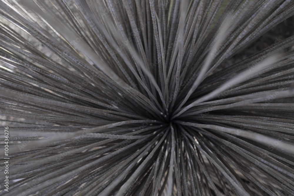 Obraz premium rattan