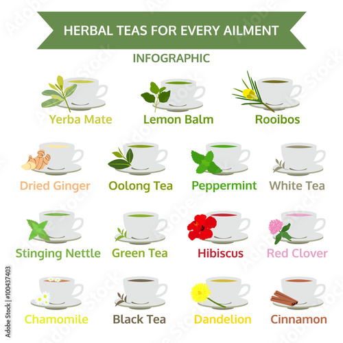 herbal teas for ailment, healthy food, herb vector
