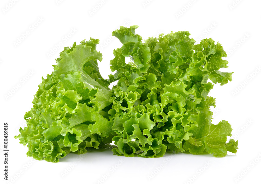 Fresh green lettuce isolated on a white background Fresh green lettuce isolated on a white background