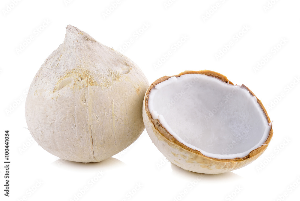 coconut on white background coconut on white background