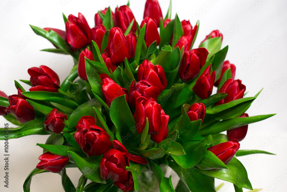 Bouquet of red tulips isolated on white background Bouquet of red tulips isolated on white background