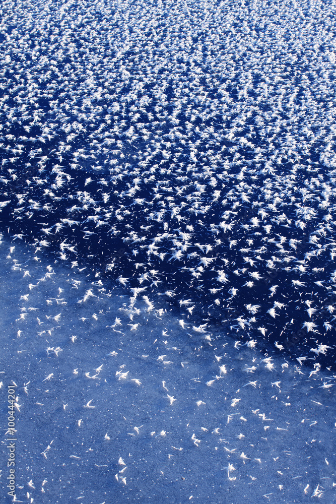 Obraz premium frost patterns on lake