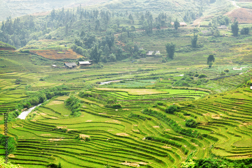 Scenic view of green rice terraces at highlands, Sa Pa, Vietnam