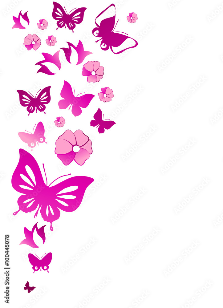 butterflies design butterflies design