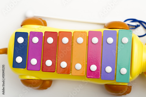 glockenspiel on the white background