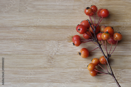 Wallpaper Mural Red berries on branch on wooden background  Torontodigital.ca